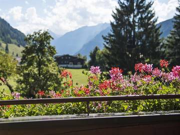 Appartement voor 4 Personen in Rauris, Ski Amadé, Afbeelding 1