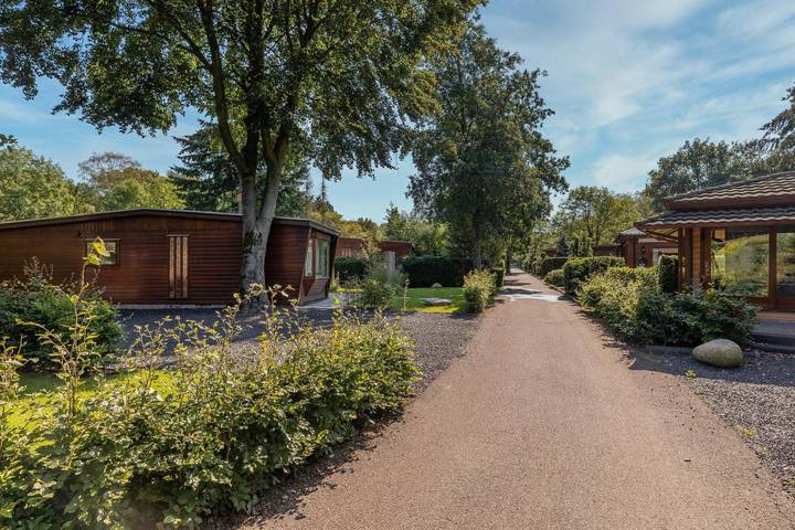 Ferienpark für 4 Personen, mit Balkon/Terrasse und Terrasse sowie Garten und Kinderpool in Gelderland - 2