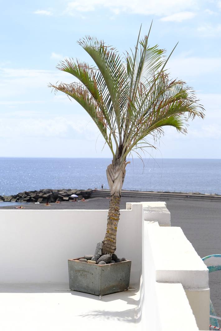 Ferienhaus für 6 Personen, mit Terrasse auf La Palma - 2