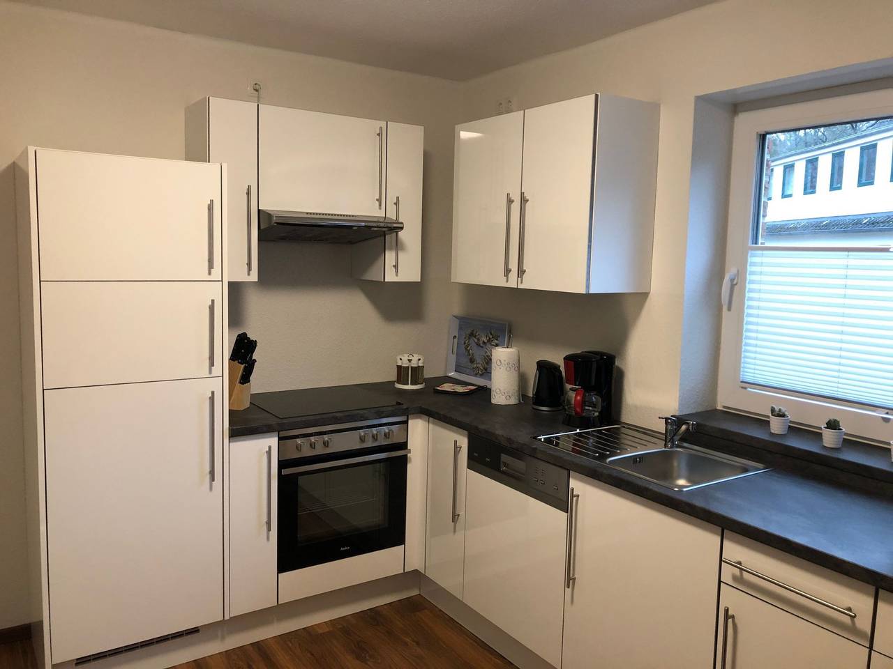 Hecht in Thülsfelder Stausee, Friesoythe