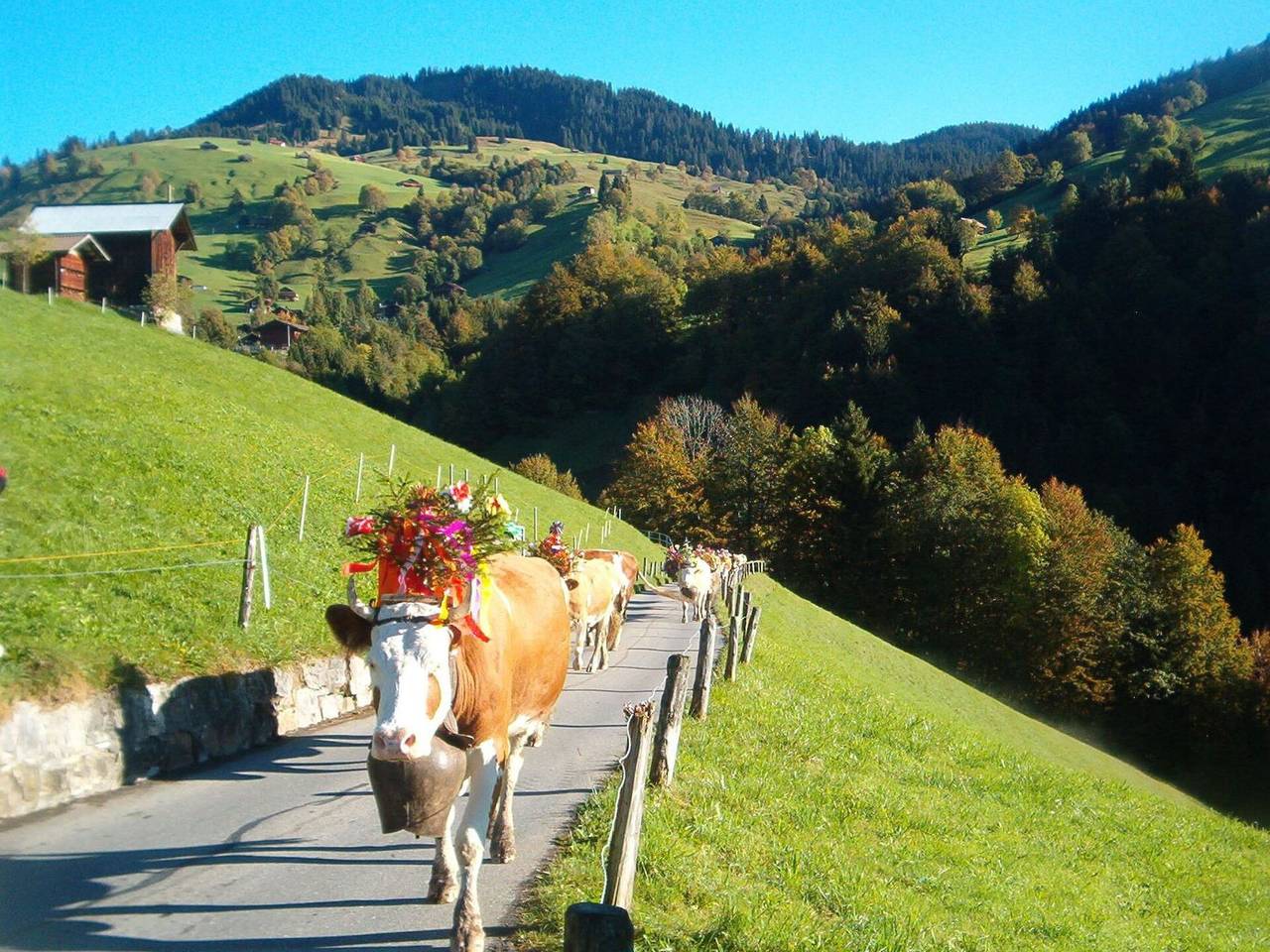 Ganze Wohnung, Hubertus a - Hubertus a 611.1 in Habkern, Verwaltungskreis Interlaken-Oberhasli