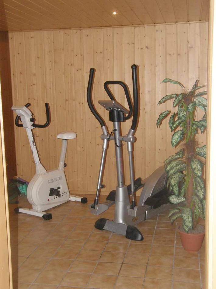 Ferienwohnung für 3 Personen, mit Sauna und Garten sowie Ausblick in Altaussee - 3