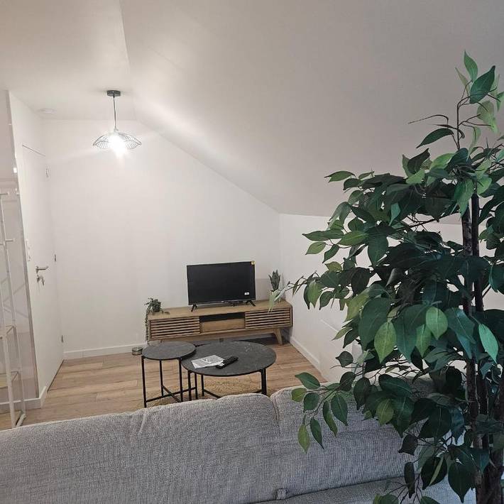 Gîte pour 4 personnes, avec piscine ainsi que jacuzzi et terrasse, animaux acceptés à La Chapelle-de-Brain - 2