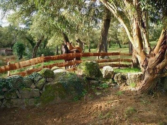 Location de vacances pour 4 personnes, avec piscine à Sartène - 4