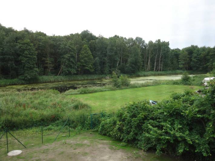 Ferienhaus für 4 Personen, mit Terrasse und Garten in der Rostocker Heide - 3