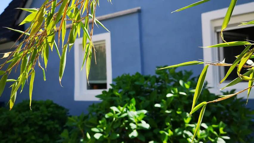 Ferienhaus für 3 Personen, mit Garten in Zeltingen-Rachtig - 2