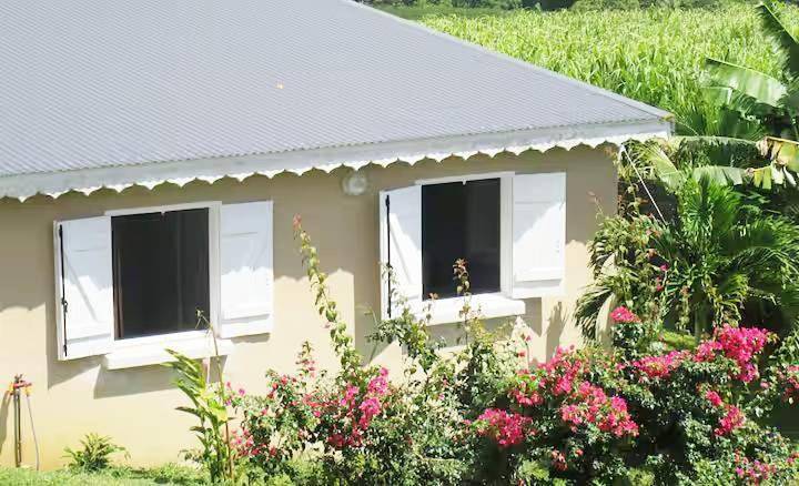 Location de vacances pour 3 personnes, avec jardin ainsi que piscine et vue à Lamentin (Guadeloupe) - 2