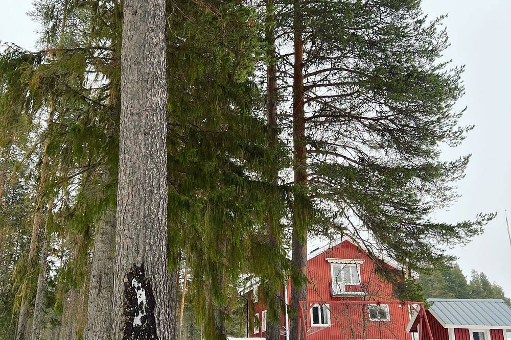 Lodge with lake view and Northern Lights. Close to hiking trails. in Norrbotten