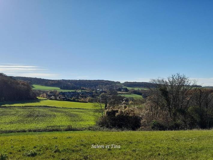 Location de vacances pour 7 personnes, avec vue et jardin, animaux acceptés à Andenne - 2