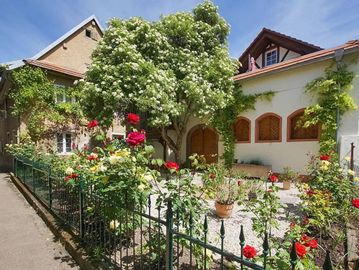 Ferienwohnung für 2 Personen, mit Garten in Vogtsburg im Kaiserstuhl - 3