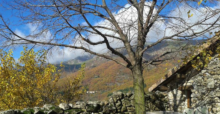 Gîte pour 24 personnes, avec terrasse dans Massif central - 3