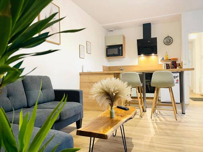 Gîte pour 4 personnes, avec terrasse à Olivet - 2