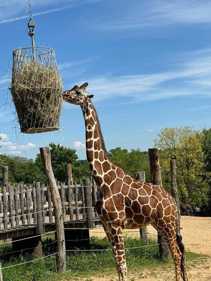 Location de vacances pour 19 personnes, avec terrasse et vue, animaux acceptés dans Office De Tourisme De La Vallee De La Selle - 3