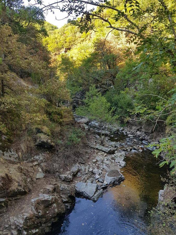 Location de vacances pour 15 personnes, avec terrasse et jardin dans Neuvéglise-sur-Truyère - 4