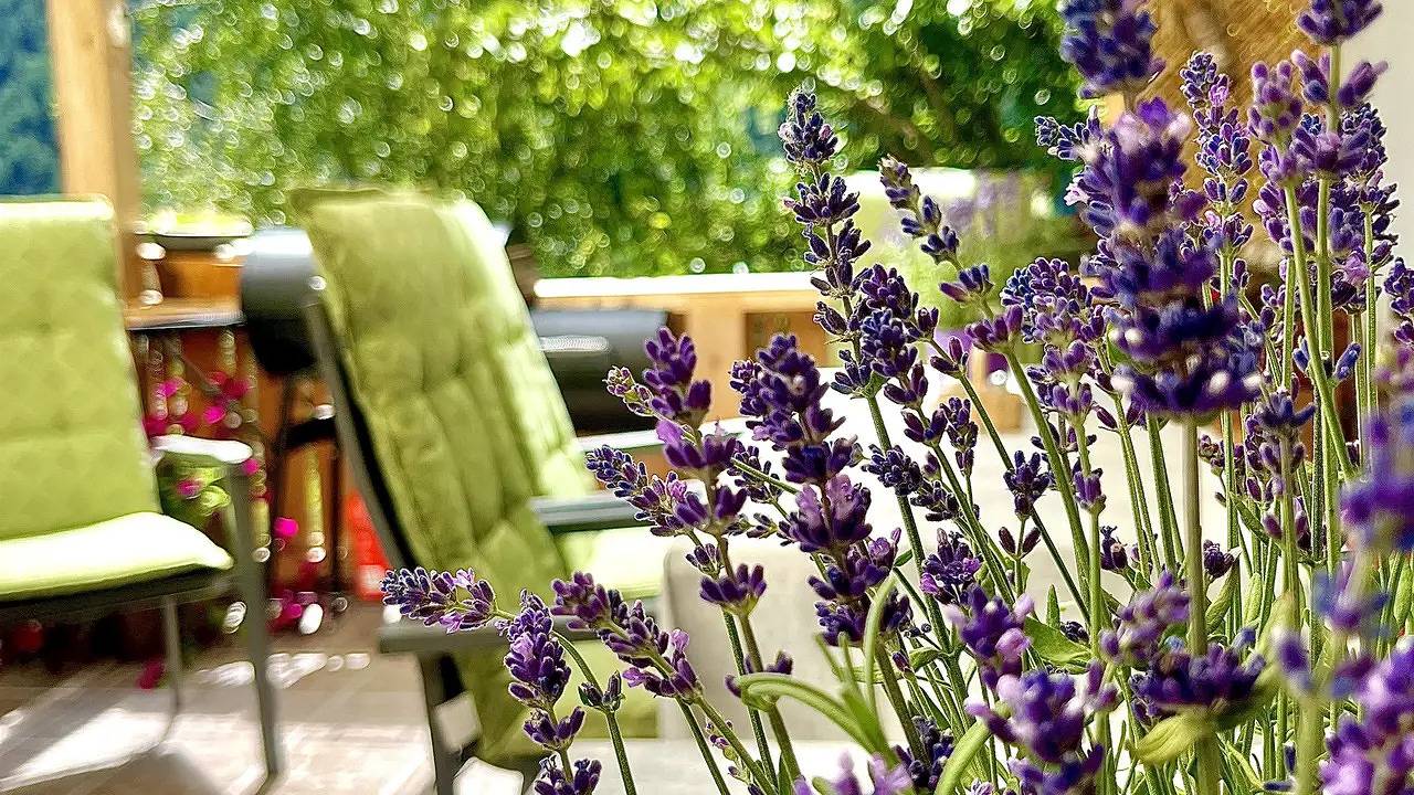 Ganze Ferienwohnung, Ferienwohnung für 4 Personen (50 m²) in Prägraten am Großvenediger, Bezirk Lienz