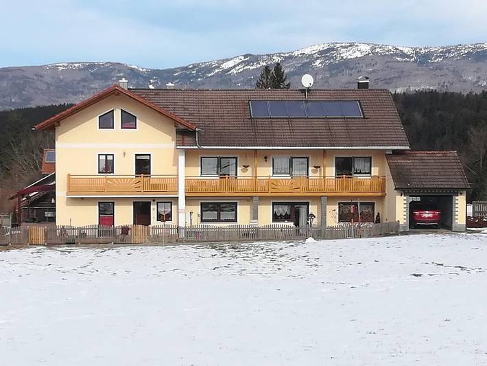 Pension für 3 Personen, mit Garten in Sankt Oswald-Riedlhütte - 4