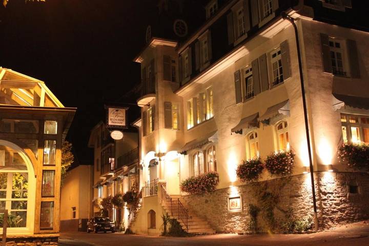 Hôtel, avec Terrasse et Jardin