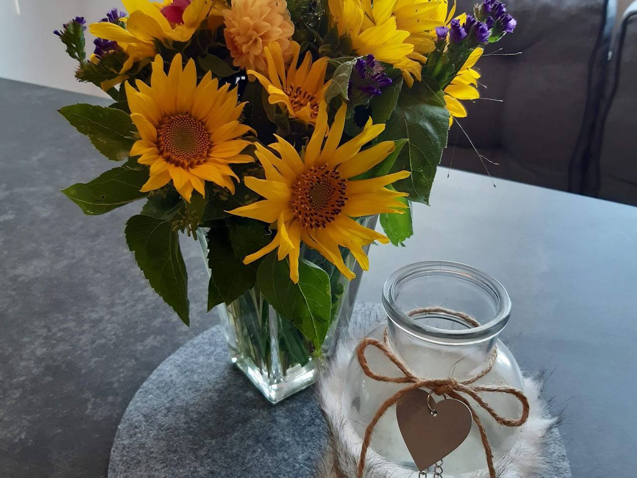 Ganze Ferienwohnung, Ferienhaus Om Ringel - 5-Bett-Ferienhaus Dusche/Wc, 3 Schlafräume in Euskirchen, Eifel (Nordrhein-Westfalen)