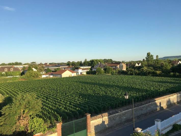 Location de vacances pour 12 personnes, avec jardin et vue, animaux acceptés à Ay (Marne) - 3