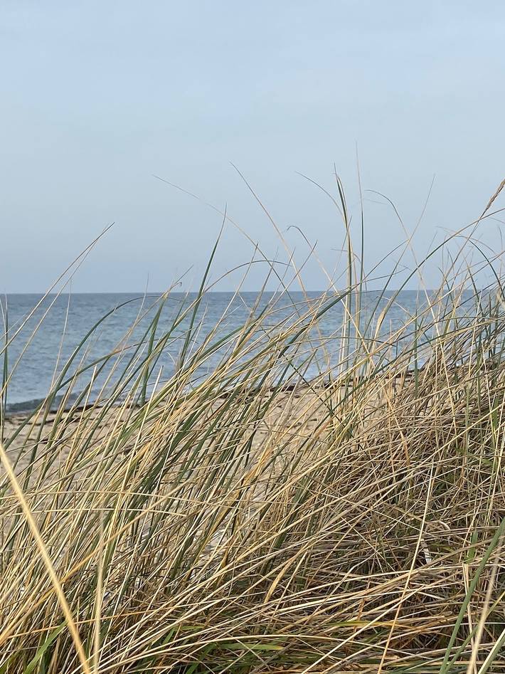 Bungalow für 4 Personen, mit Garten und Ausblick auf Fehmarn - 4