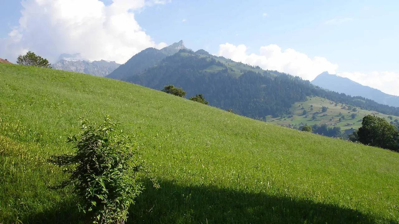 Ganze Ferienwohnung, Ferienwohnung für 4 Personen (125 m²) in Scharnachtal in Reichenbach im Kandertal, Frutigen - Lenk - Adelboden