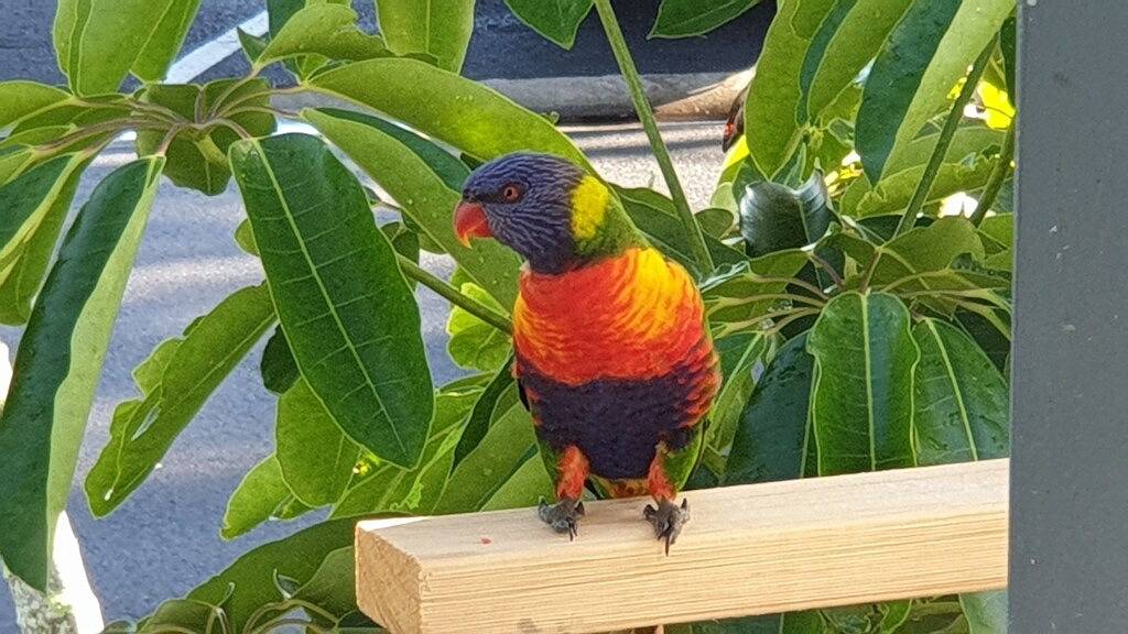 Ganze Wohnung, Strand- / Meerblick, Lux Boutique Esplanade Elegance in Hervey Bay, Fraser Coast