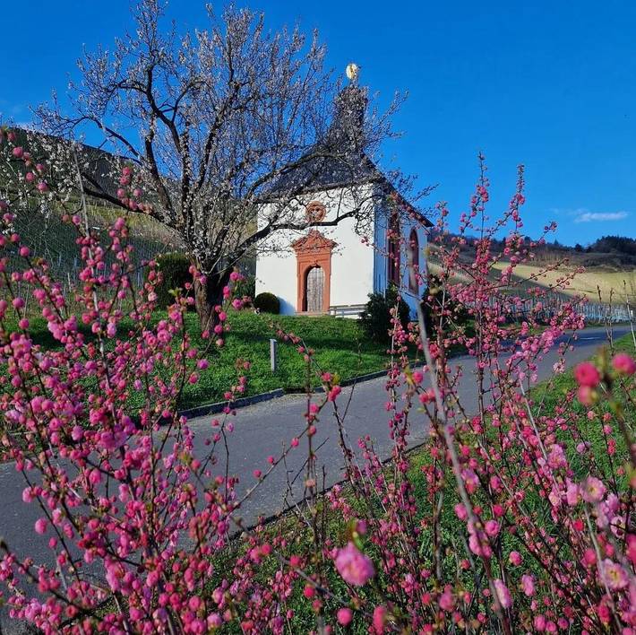 Ferienwohnung für 2 Personen, mit Garten in Kröv - 3