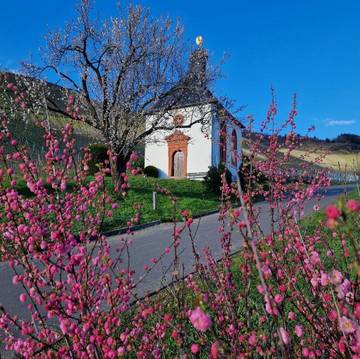 Appartement voor 2 Personen in Kröv, Moseleifel, Afbeelding 2