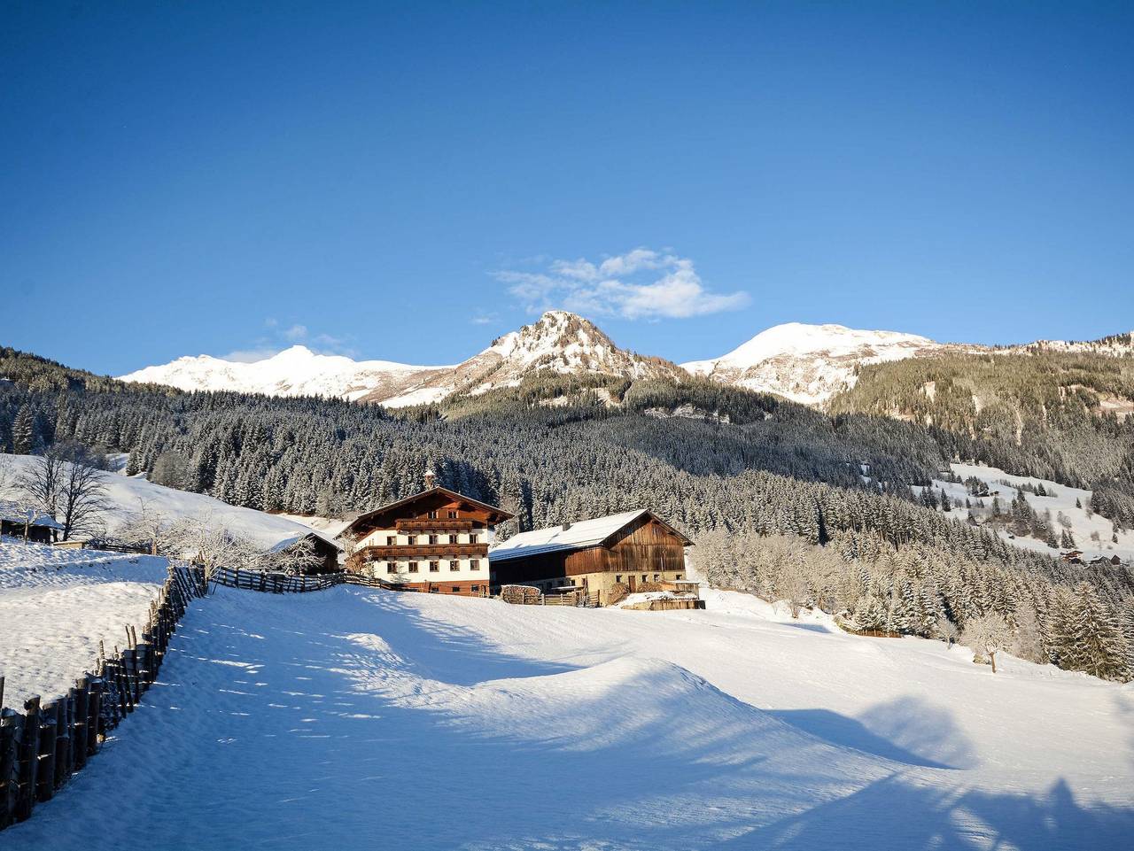 Biohof Maurachgut - Ferienwohnung Talblick in Bad Hofgastein, Ski Amadé
