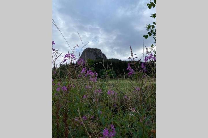 Location de vacances pour 2 personnes, avec vue ainsi que jardin et terrasse, animaux acceptés dans Mont Mézenc - 3