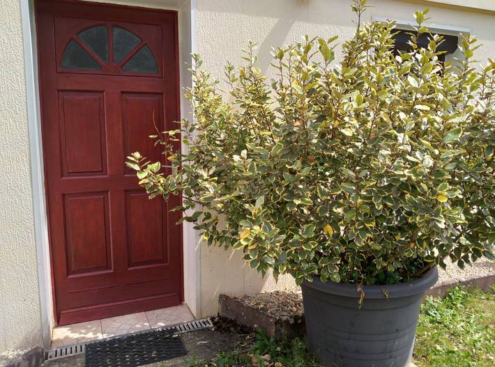 Gîte pour 4 personnes, avec jardin à Plainfaing - 4