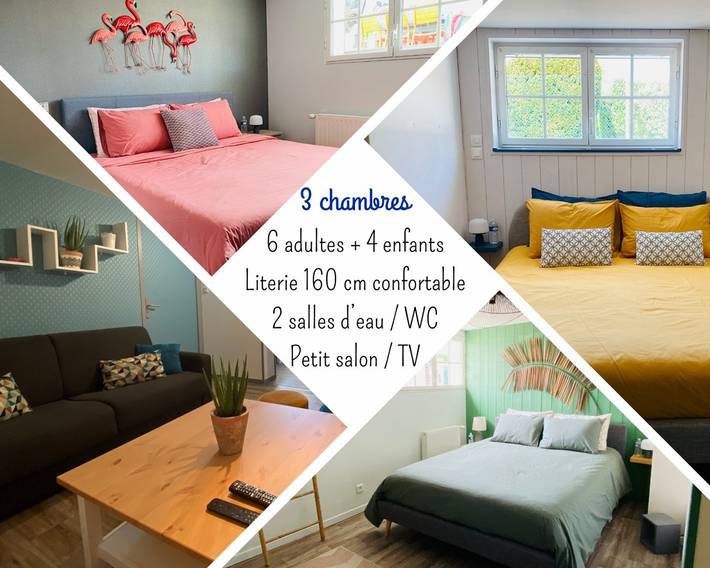 Gîte pour 6 personnes, avec jacuzzi et piscine ainsi que jardin et terrasse à Coulon - 4