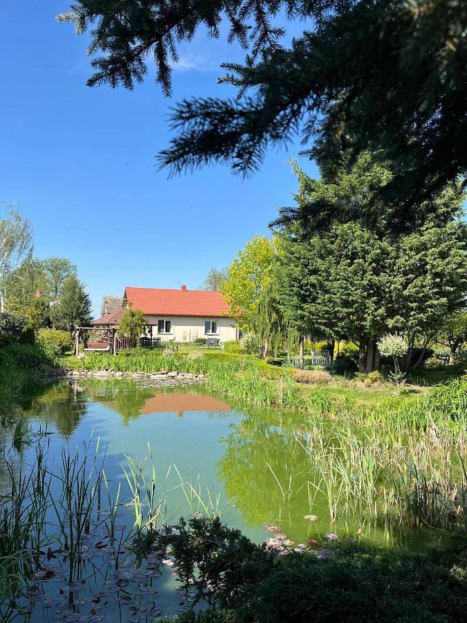 Ferienhaus für 9 Personen, mit Garten - 1