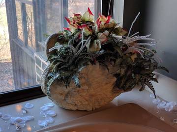 Vacation House for 10 Guests in Arkansas, USA, Picture 2