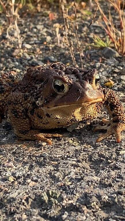 Sable Point Cottage->Discounted Price if less than 6 people (Send Me An Inquiry) in Richmond County