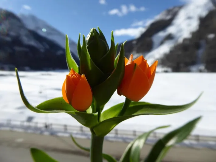 Appartamento vacanze per 4 persone, con giardino e panorama - 1