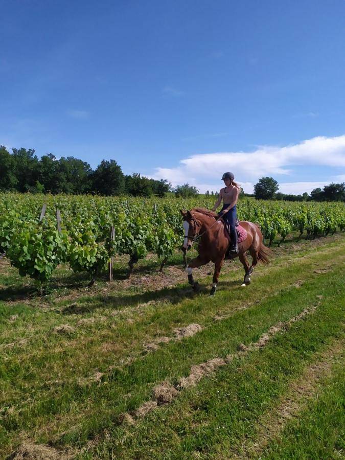 Gîte pour 2 personnes, avec jardin et vue à Castelnau-d'Estrétefonds - 4