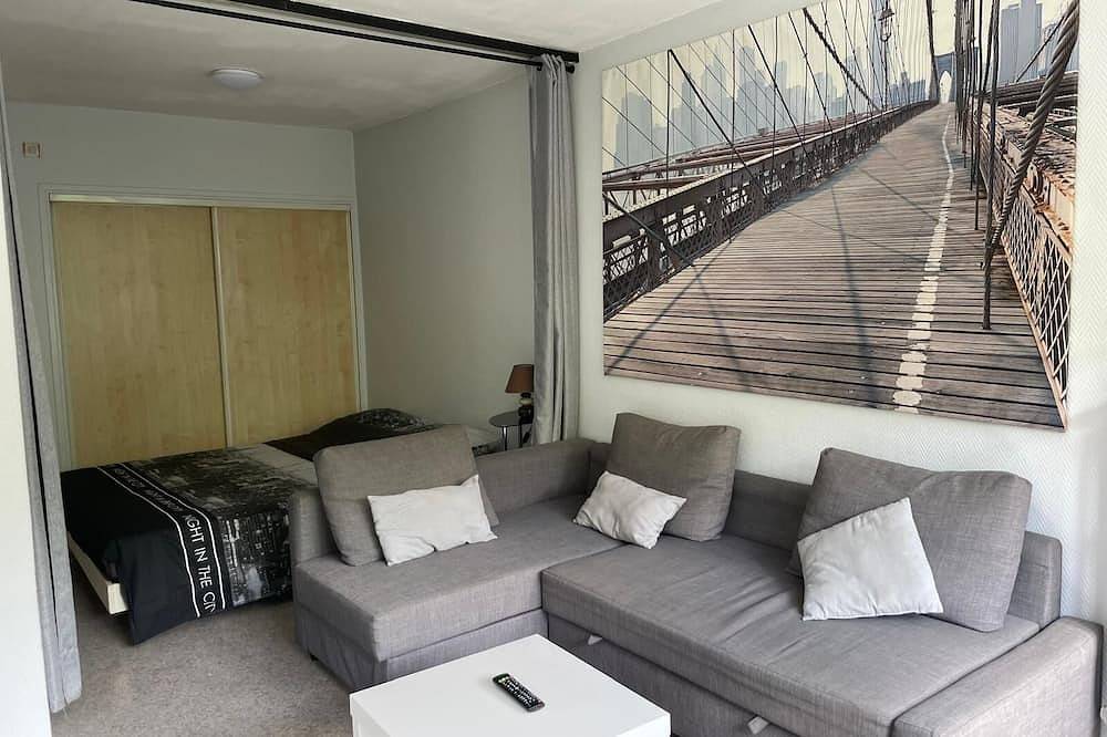Appartement entier, Cosy T1 bis idéal vacances - cures in Royat, Parc naturel régional des Volcans d'Auvergne