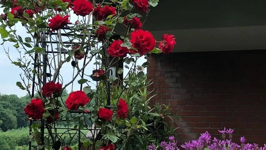 Ferienwohnung für 2 Personen, mit Garten in Strande