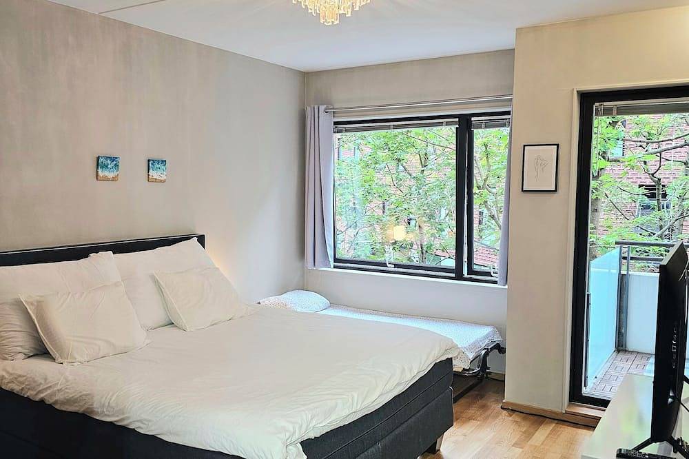 Entire apartment, Cozy & Central studio in the royal heart of Oslo in St. Hanshaugen, Oslo