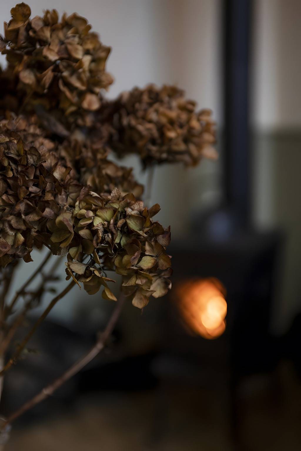 The Little Cottage en la bahía de Somme in Cahon, Región de Abbeville