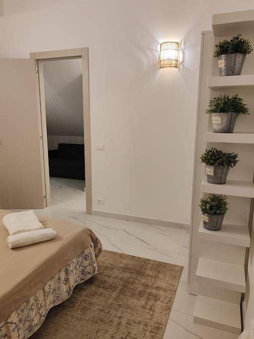 Ferienwohnung für 5 Personen, mit Terrasse, mit Haustier in Marina di Massa - 2