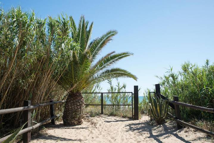 Casa rural para 4 personas, con piscina y vistas además de terraza y jardín, Se admiten mascotas en Zahora - 4