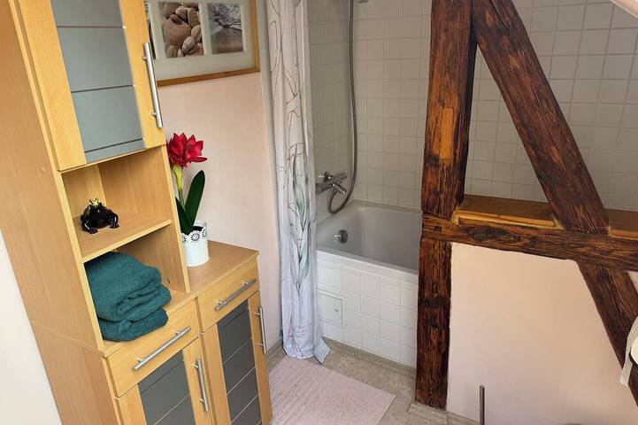 Ganze Wohnung, Sonnendeck Gera - priv. Dachterrasse & zentrumsnahe in Gera, Ostthüringen