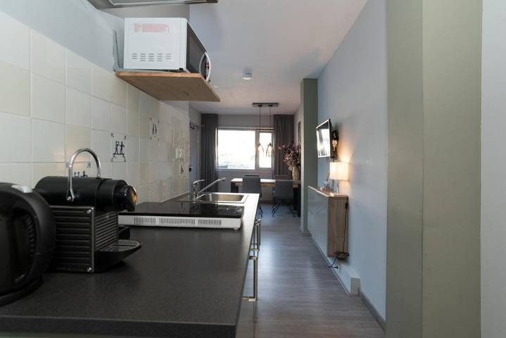 Ferienwohnung für 4 Personen, mit Terrasse in Haarlem - 2