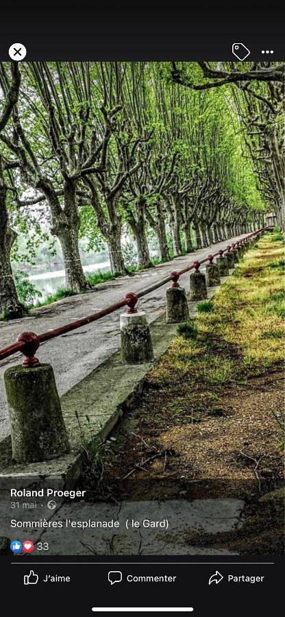 Location de vacances pour 8 personnes, avec jacuzzi et jardin à Sommières - 3