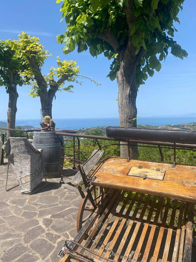 B&B and Home Restaurant Il giardino di Armida in Ogliastro Cilento, Cilento Coast