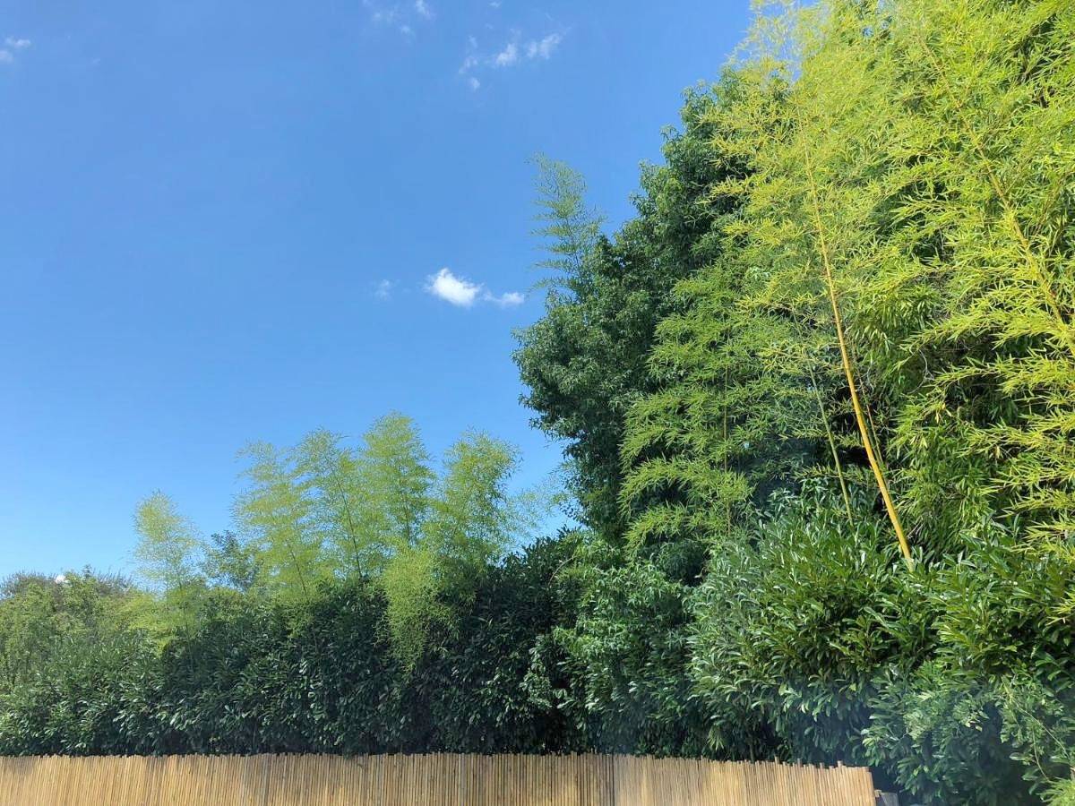 Hôtel pour 1 personne avec terrasse in Morcenx-la-Nouvelle, Landes