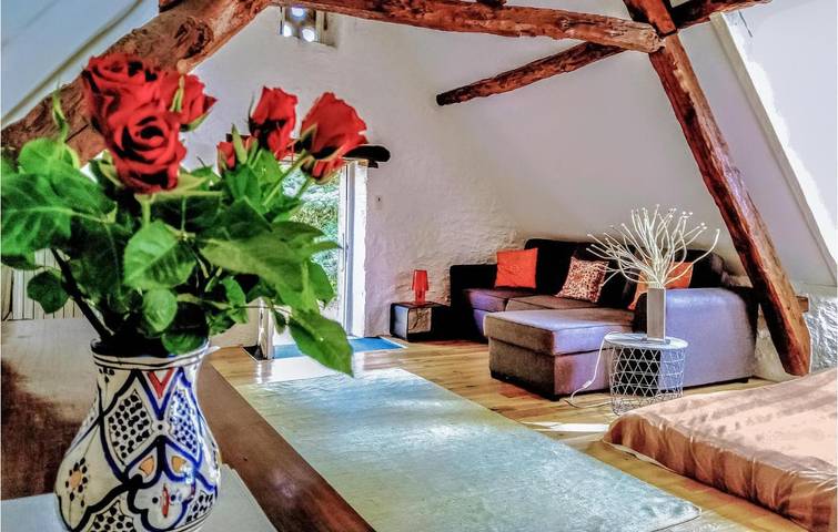Location de vacances pour 6 personnes, avec jardin et piscine à Soucirac - 3