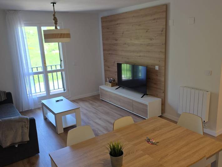 Ganze Wohnung, Modernes Studio in Pistennähe - 4 Pers. in Candanchú, Aisa
